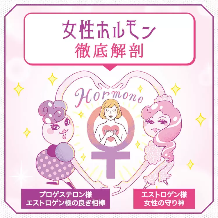 ファンケルクリップのサムネイル