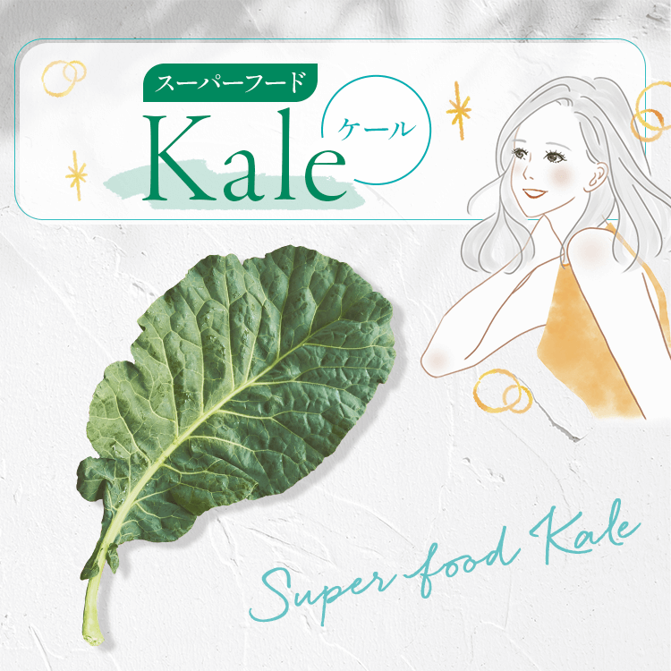 ファンケルクリップのサムネイル