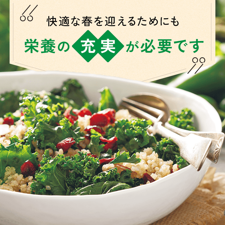 ファンケルクリップのサムネイル