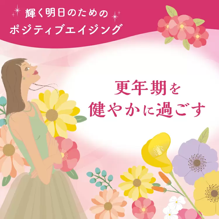 ファンケルクリップのサムネイル