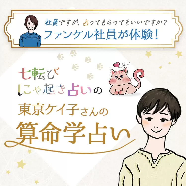 ファンケルクリップのサムネイル