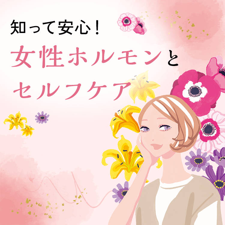 ファンケルクリップのサムネイル