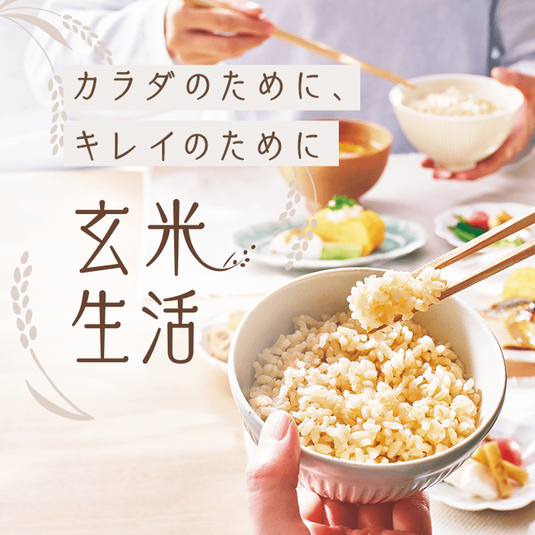 ファンケルクリップのサムネイル